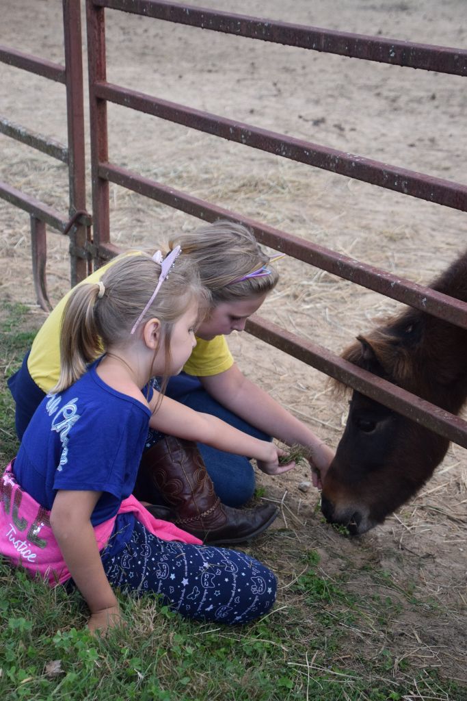 riddle center barn event 10-19 154 (683x1024).jpg